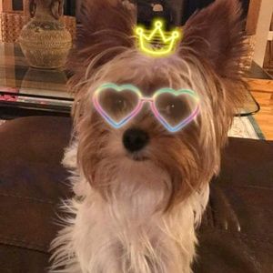 Meet your Posher, Sharon